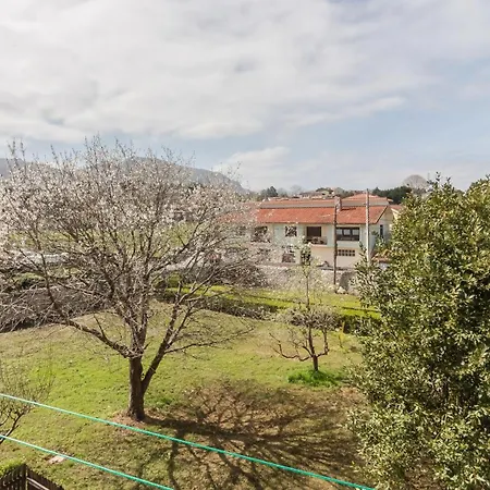 El Papimba De A 150 Metros De La Playa *